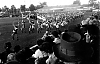 Filename=scout_house_1955_dufferin_r.jpg
Filesize=556KiB
Dimensions=1290x830
Date added=Nov 11, 2005 scout_house_1955_dufferin_r.jpg