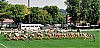Filename=1958_scouthouse_4.jpg
Filesize=366KiB
Dimensions=1400x684
Date added=Jan 24, 2010 1958_scouthouse_4.jpg