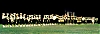 Filename=audubon_1959b.jpg
Filesize=183KiB
Dimensions=1600x559
Date added=Jun 07, 2006 audubon_1959b.jpg