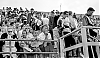 Filename=1960_rochester_2_16_ver_2-edit.jpg
Filesize=509KiB
Dimensions=1500x880
Date added=Jan 19, 2019 1960_rochester_2_16_ver_2-edit.jpg