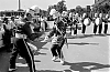 Filename=1960_windsor_t045_14-edit.jpg
Filesize=423KiB
Dimensions=1500x976
Date added=Apr 06, 2017 1960_windsor_t045_14-edit.jpg
