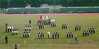 Filename=1963_jesters_3_c.jpg
Filesize=201KiB
Dimensions=1300x643
Date added=Aug 12, 2010 1963_jesters_3_c.jpg