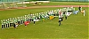 Filename=1963_opti_06_c.jpg
Filesize=493KiB
Dimensions=1600x712
Date added=Jul 17, 2010 1963_opti_06_c.jpg