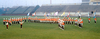 Filename=1964_commanders_3c.jpg
Filesize=177KiB
Dimensions=1300x507
Date added=Jul 24, 2010 1964_commanders_3c.jpg