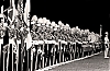 Filename=1964_dc_13.jpg
Filesize=251KiB
Dimensions=1300x853
Date added=Feb 16, 2010 1964_dc_13.jpg