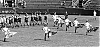 Filename=1964_nationals_toronto_01_18.jpg
Filesize=522KiB
Dimensions=1500x712
Date added=Feb 27, 2016 1964_nationals_toronto_01_18.jpg