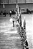 Filename=1966-67_winter.jpg
Filesize=534KiB
Dimensions=814x1200
Date added=Mar 15, 2006 1966-67_winter.jpg