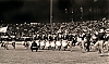 Filename=frans_rood_1967_12b.jpg
Filesize=263KiB
Dimensions=1300x776
Date added=Feb 14, 2011 frans_rood_1967_12b.jpg