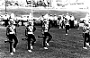 Filename=1968_lampton_park_tor_2.jpg
Filesize=399KiB
Dimensions=1200x786
Date added=Apr 22, 2007 1968_lampton_park_tor_2.jpg