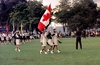 Filename=1968_st_johns_08.jpg
Filesize=189KiB
Dimensions=1300x845
Date added=Mar 09, 2010 1968_st_johns_08.jpg