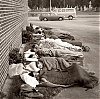 Filename=1970_madison_t016_01-edit.jpg
Filesize=448KiB
Dimensions=928x920
Date added=Jun 03, 2019 1970_madison_t016_01-edit.jpg