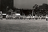 Filename=frans_rood_1970_20a.jpg
Filesize=235KiB
Dimensions=1300x882
Date added=Sep 03, 2011 frans_rood_1970_20a.jpg