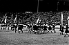 Filename=frans_rood_1970_46.jpg
Filesize=225KiB
Dimensions=1300x846
Date added=Jun 16, 2011 frans_rood_1970_46.jpg