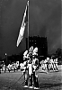 Filename=frans_rood_1970_52.jpg
Filesize=45KiB
Dimensions=646x925
Date added=Jun 18, 2011 frans_rood_1970_52.jpg
