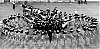 Filename=troopers_1970.jpg
Filesize=372KiB
Dimensions=1200x596
Date added=Mar 18, 2007 troopers_1970.jpg