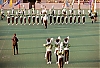 Filename=1971_john_byrnes_photos_epson_011a.jpg
Filesize=1533KiB
Dimensions=1335x920
Date added=Dec 30, 2017 1971_john_byrnes_photos_epson_011a.jpg