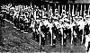 Filename=1975_1.jpg
Filesize=277KiB
Dimensions=800x476
Date added=Feb 24, 2006 1975_1.jpg