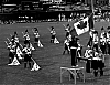 Filename=seneca_5_1976_new_1c.jpg
Filesize=639KiB
Dimensions=1191x925
Date added=Jan 18, 2010 seneca_5_1976_new_1c.jpg