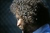 Filename=seneca_2_1977_2.jpg
Filesize=439KiB
Dimensions=800x538
Date added=Nov 09, 2005 seneca_2_1977_2.jpg