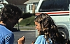 Filename=seneca_2_1977_7.jpg
Filesize=449KiB
Dimensions=800x511
Date added=Nov 09, 2005 seneca_2_1977_7.jpg