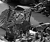 Filename=seneca_3_1977_14.jpg
Filesize=782KiB
Dimensions=1260x1055
Date added=Nov 12, 2005 seneca_3_1977_14.jpg