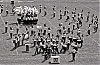 Filename=seneca_7_1977_33~0.jpg
Filesize=257KiB
Dimensions=1200x791
Date added=Dec 24, 2009 seneca_7_1977_33~0.jpg