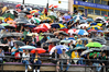 Filename=2010_waterloo_7093.jpg
Filesize=449KiB
Dimensions=1300x865
Date added=Aug 24, 2010 2010_waterloo_7093.jpg