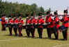 2011_sudbury_dave1_2516.jpg