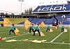 Filename=2012_annapolis_dave_0837.jpg
Filesize=367KiB
Dimensions=1300x911
Date added=Sep 06, 2012 2012_annapolis_dave_0837.jpg