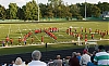 Filename=2012_waterloo_dave1_8081.jpg
Filesize=348KiB
Dimensions=1300x799
Date added=Oct 13, 2012 2012_waterloo_dave1_8081.jpg