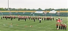 Filename=2014_rochester_dave_4280_raw.jpg
Filesize=174KiB
Dimensions=1300x600
Date added=Sep 08, 2014 2014_rochester_dave_4280_raw.jpg