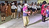 Filename=2017_korea_dave_aug_10_jeju_0081a.jpg
Filesize=889KiB
Dimensions=1200x701
Date added=Sep 24, 2017 2017_korea_dave_aug_10_jeju_0081a.jpg