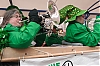 Filename=2019_st_pats_eric_0843_raw.jpg
Filesize=501KiB
Dimensions=1500x996
Date added=Mar 21, 2019 2019_st_pats_eric_0843_raw.jpg