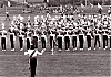 Filename=1973_untitled_7a.jpg
Filesize=486KiB
Dimensions=1500x1052
Date added=Jul 09, 2009 1973_untitled_7a.jpg