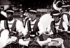 1976_st_johns_775a.jpg