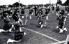 Filename=76_bandettes_866.jpg
Filesize=215KiB
Dimensions=1200x764
Date added=Mar 18, 2008 76_bandettes_866.jpg