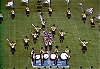 77dci_026.jpg