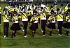 77dci_054.jpg