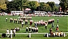 Filename=pj_grantham_2.jpg
Filesize=1122KiB
Dimensions=1300x747
Date added=Jan 19, 2010 pj_grantham_2.jpg