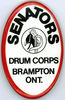 Filename=senators_button.jpg
Filesize=98KiB
Dimensions=522x800
Date added=Nov 30, 2007 senators_button.jpg