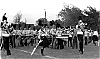 Filename=seneca_bw_6.jpg
Filesize=435KiB
Dimensions=1350x802
Date added=Nov 15, 2005 seneca_bw_6.jpg