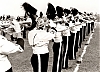 Filename=seneca_daber_32b.jpg
Filesize=415KiB
Dimensions=1500x1082
Date added=Jan 09, 2021 seneca_daber_32b.jpg