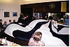 Filename=seneca_reunion_9.jpg
Filesize=30KiB
Dimensions=450x302
Date added=Mar 28, 2006 seneca_reunion_9.jpg