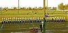Filename=1960_falconer_slides_sheet_70_01a.jpg
Filesize=360KiB
Dimensions=1500x735
Date added=Feb 10, 2022 1960_falconer_slides_sheet_70_01a.jpg