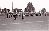 Filename=1961_cne_ver_2_10b.jpg
Filesize=293KiB
Dimensions=1500x964
Date added=Dec 09, 2021 1961_cne_ver_2_10b.jpg