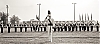 Filename=1961_windsor_21a-edit.jpg
Filesize=398KiB
Dimensions=1500x665
Date added=Mar 04, 2023 1961_windsor_21a-edit.jpg