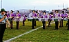 1977_eric_simcoegoldenlions_007a.jpg