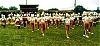 1978_02_aug_003_v2d1.jpg